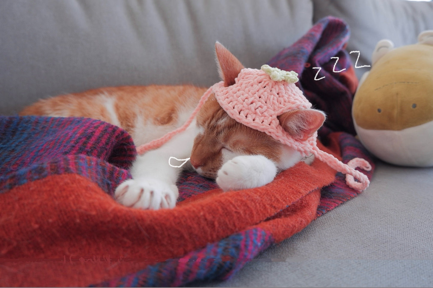 cat fruit hat